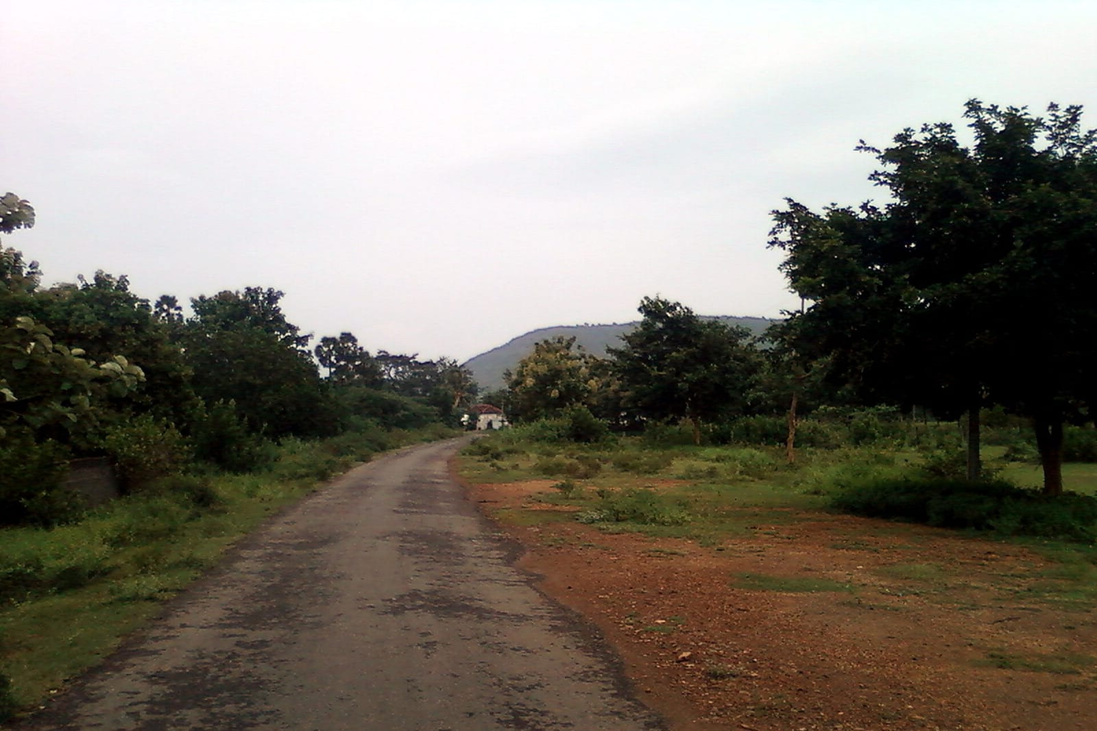 A rural road near Anandapuram in Visakhapatnam district, with fields and hills behind it