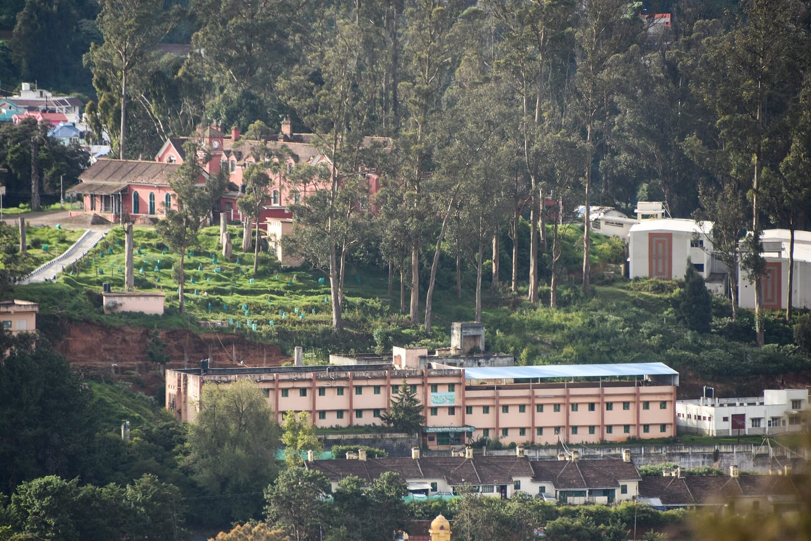 The old and new buildings of the Government Arts College on a wooded hillside in Ooty
