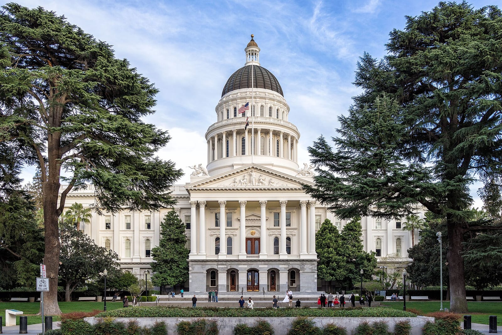 The white domed California State Capitol building in Sacramento, framed by two tall evergreen trees under a blue sky
