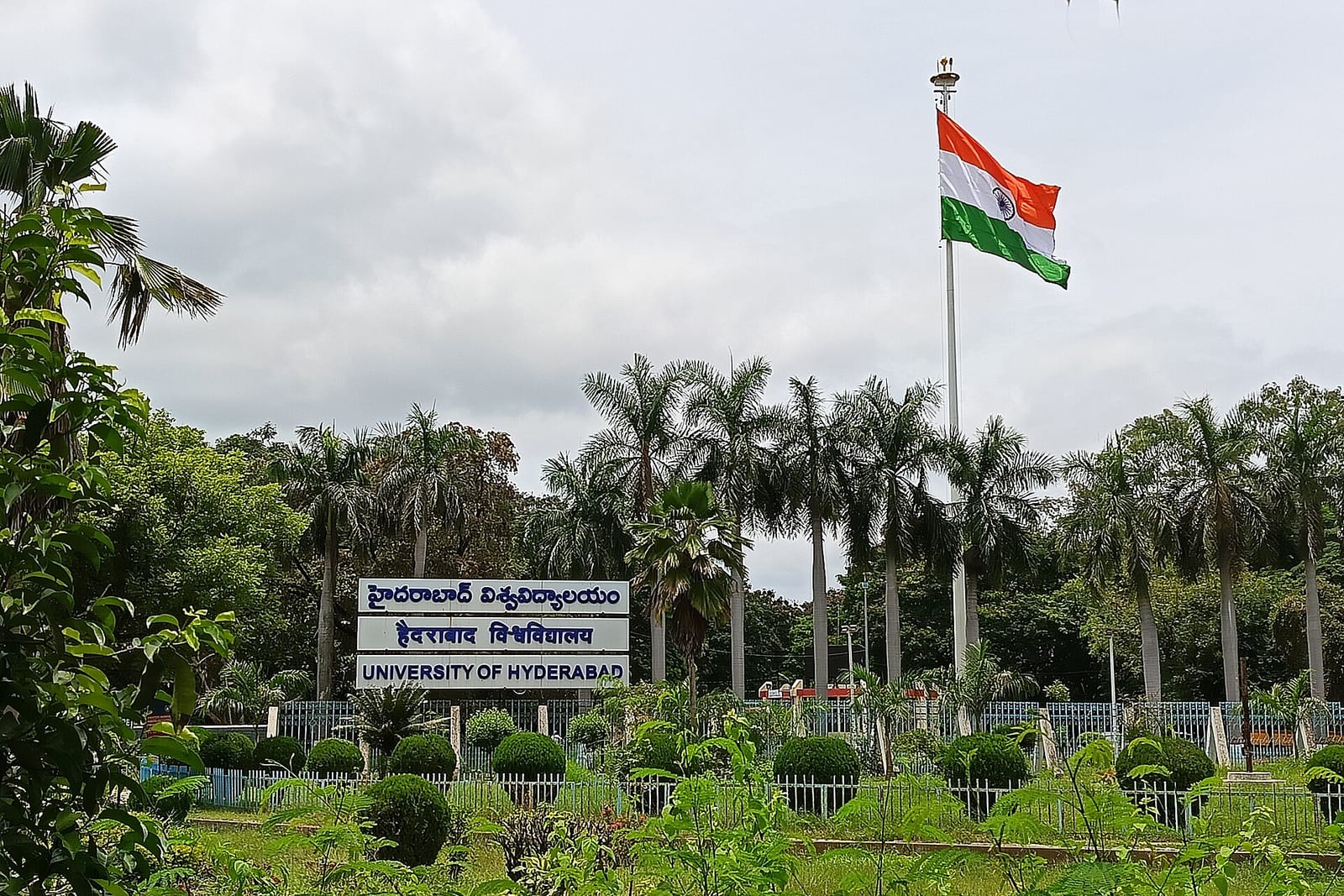 A university name board in Telugu, Hindi and English among palm trees, with a large Indian flag flying above